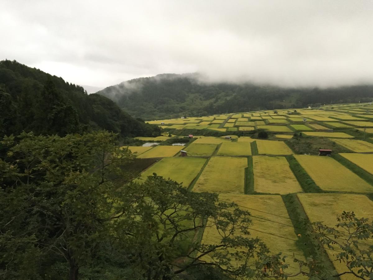 Elizabeth Hotel Nozawa Luaran gambar
